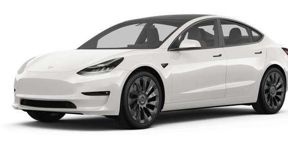TESLA MODEL 3 2023 5YJ3E1EA3PF397530 image TESLA MODEL 3 2023 5YJ3E1EA3PF397530 image